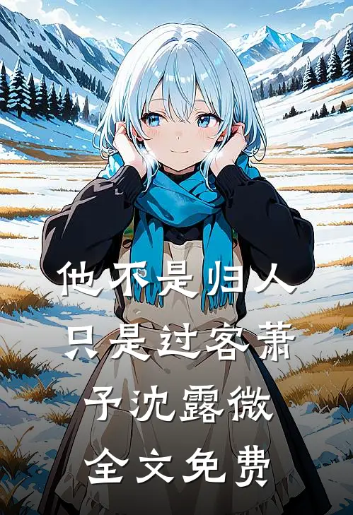 他不是归人，只是过客萧予沈露微全文免费