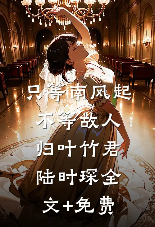 只等南风起，不等故人归叶竹君陆时琛全文+免费
