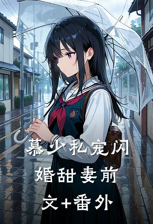 慕少私宠闪婚甜妻前文+番外