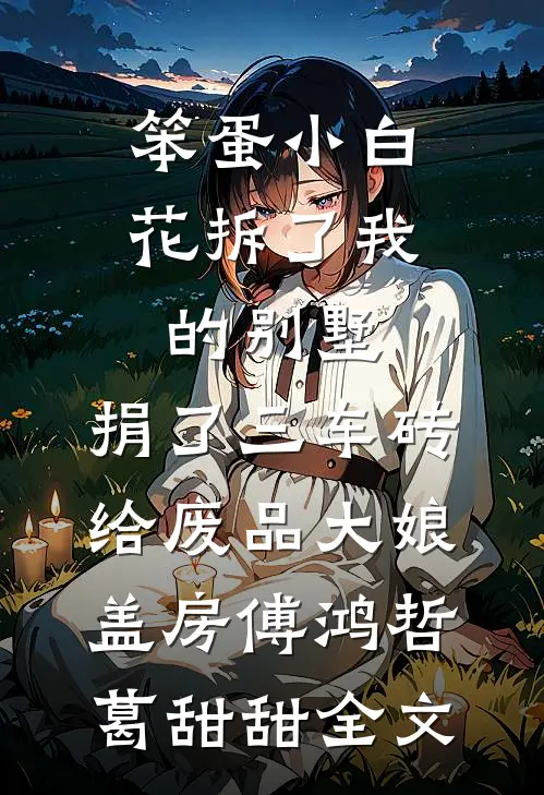 笨蛋小白花拆了我的别墅，捐了三车砖给废品大娘盖房傅鸿哲葛甜甜全文