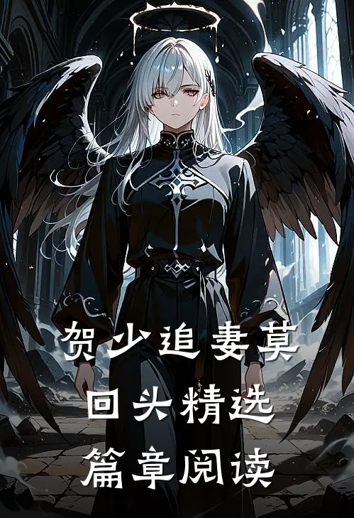 贺少追妻莫回头精选篇章阅读