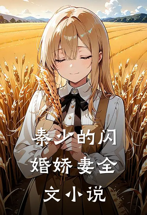 秦少的闪婚娇妻全文小说