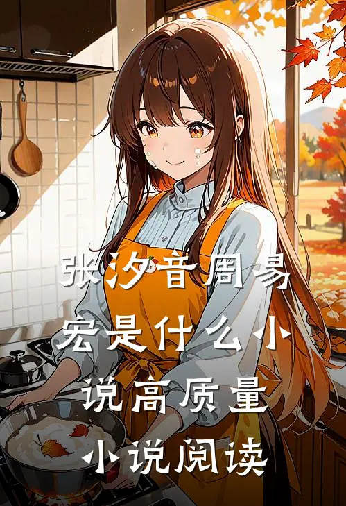 张汐音周易宏是什么小说高质量小说阅读