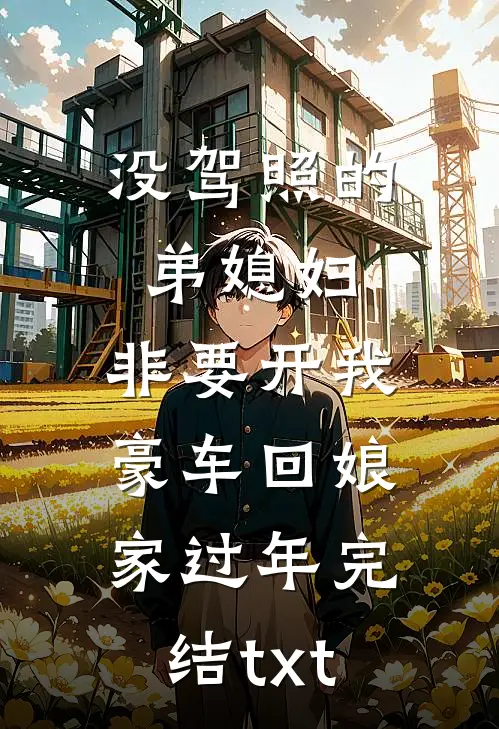 没驾照的弟媳妇，非要开我豪车回娘家过年完结txt