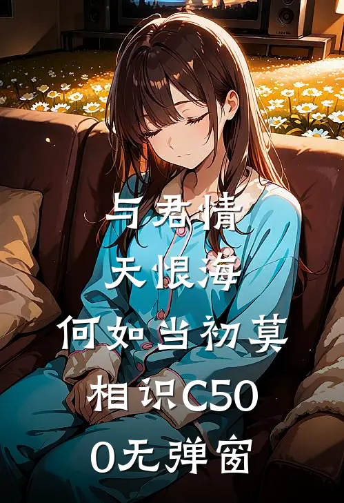 与君情天恨海，何如当初莫相识C500无弹窗