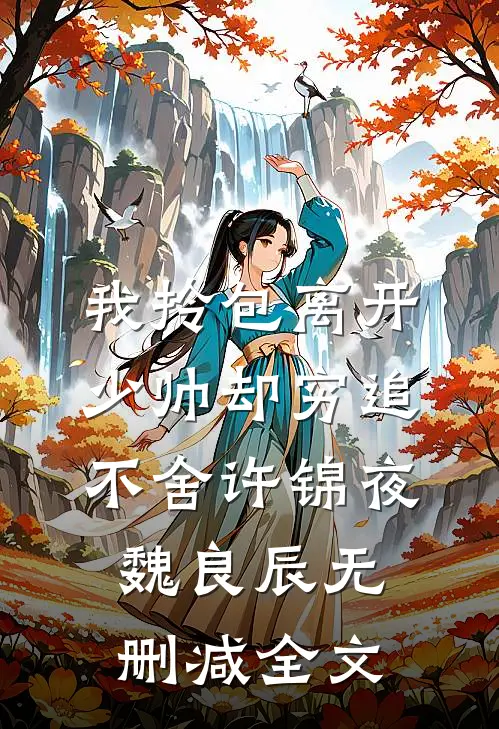 我拎包离开，少帅却穷追不舍许锦夜魏良辰无删减全文