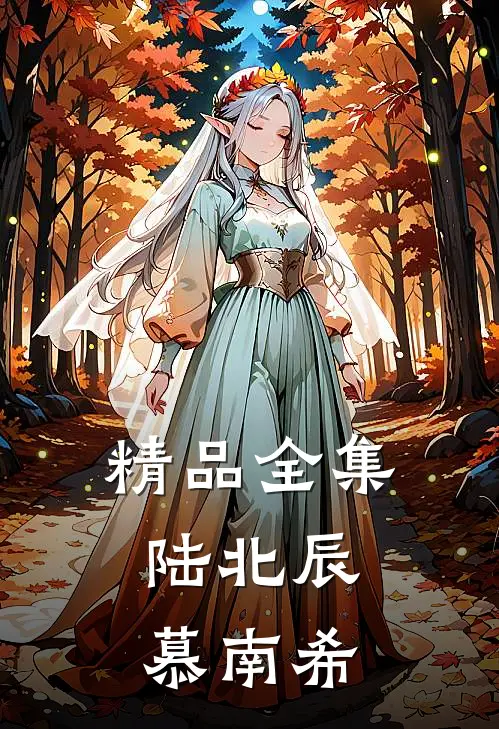 精品全集陆北辰,慕南希