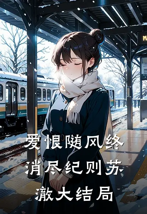 爱恨随风终消尽纪则苏澈大结局