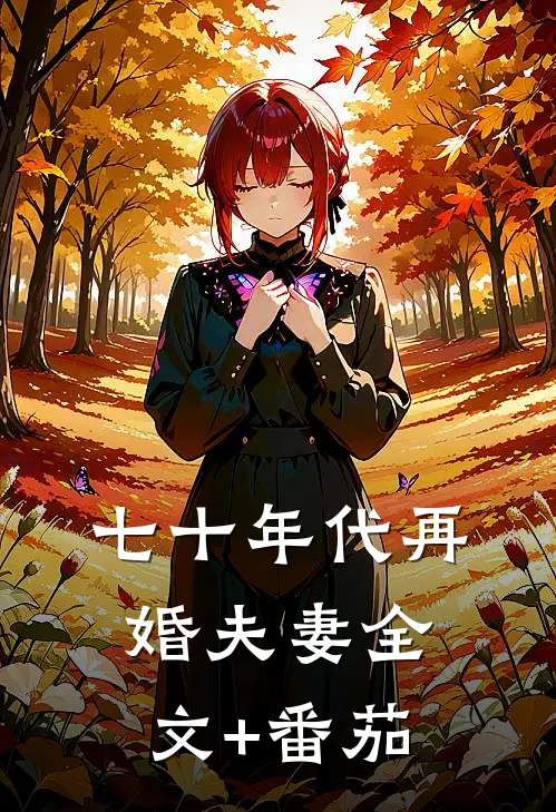 七十年代再婚夫妻全文+番茄