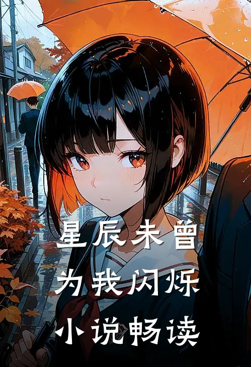 星辰未曾为我闪烁小说畅读