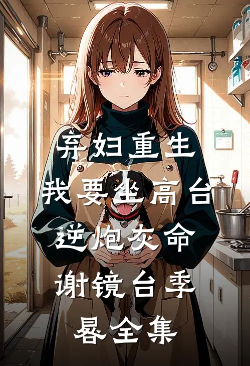 弃妇重生，我要坐高台，逆炮灰命谢镜台季晷 全集