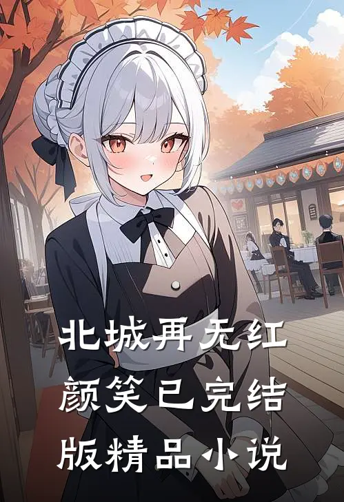 北城再无红颜笑已完结版精品小说