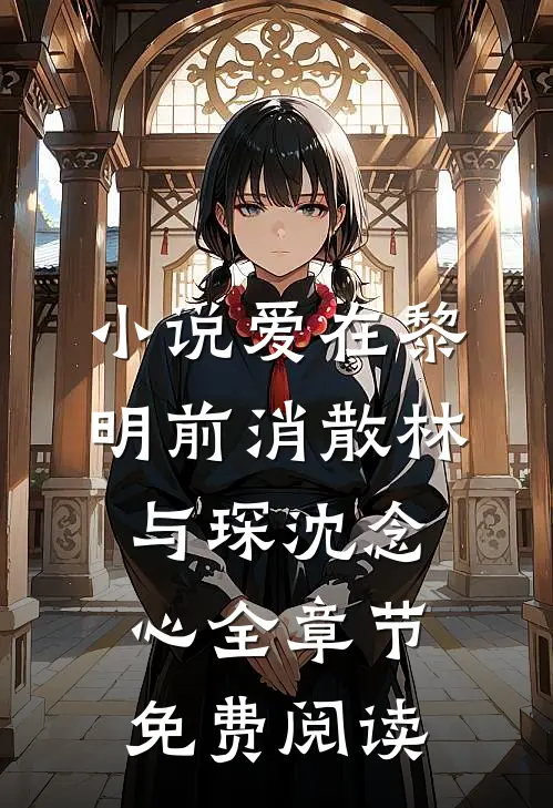 小说爱在黎明前消散林与琛沈念心全章节免费阅读