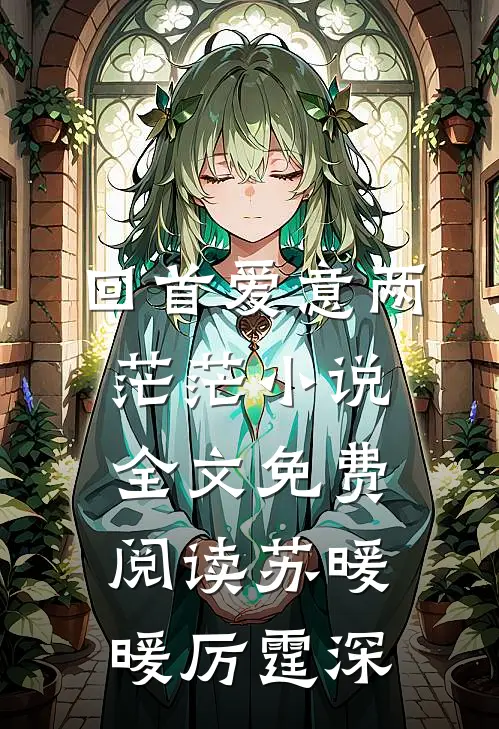 回首爱意两茫茫小说全文免费阅读苏暖暖厉霆深