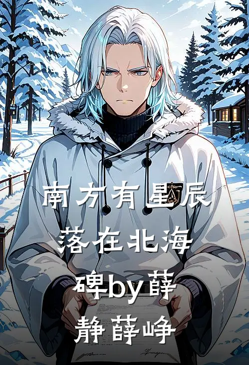 南方有星辰，落在北海碑by薛静薛峥