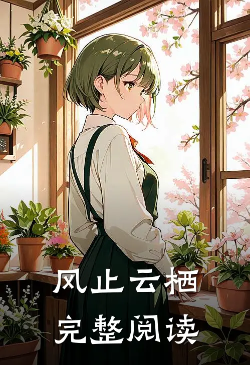 风止云栖完整阅读