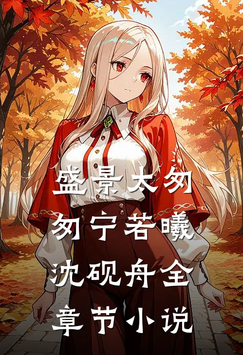 盛景太匆匆宁若曦沈砚舟全章节小说