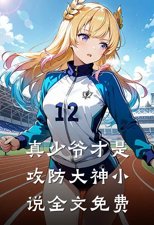 真少爷才是攻防大神小说全文免费
