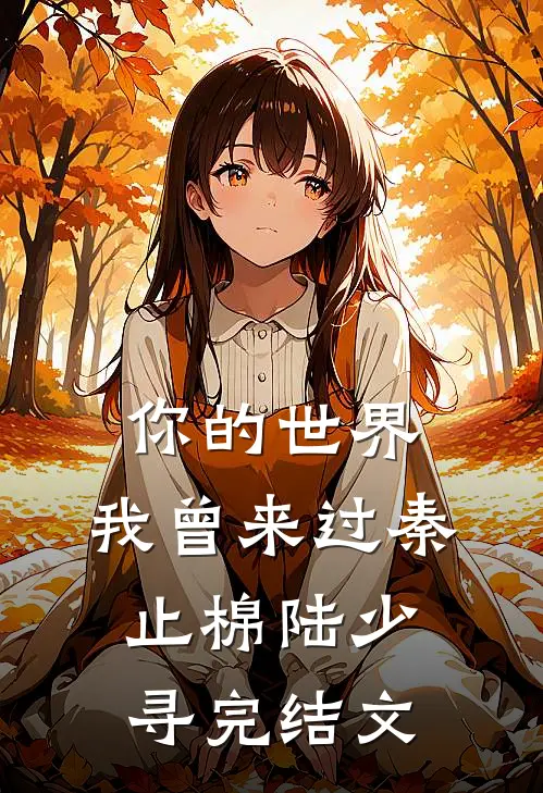 你的世界，我曾来过秦止棉陆少寻完结文