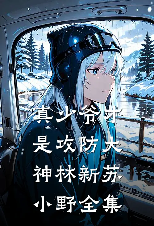 真少爷才是攻防大神林新苏小野全集