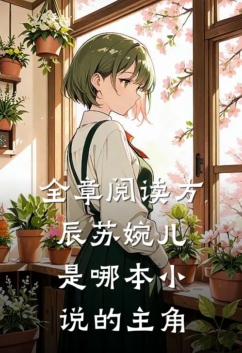 全章阅读方辰苏婉儿是哪本小说的主角