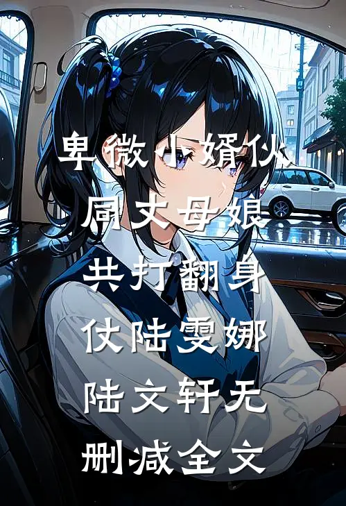 卑微小婿伙同丈母娘共打翻身仗陆雯娜陆文轩无删减全文
