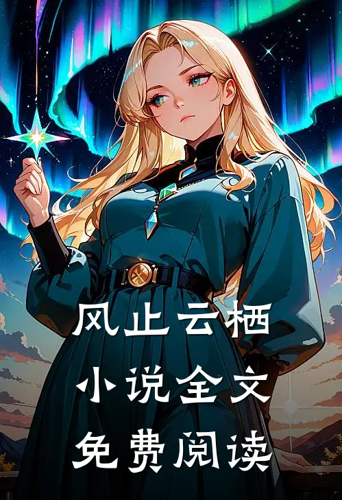 风止云栖小说全文免费阅读