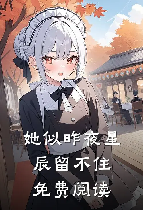 她似昨夜星辰留不住免费阅读