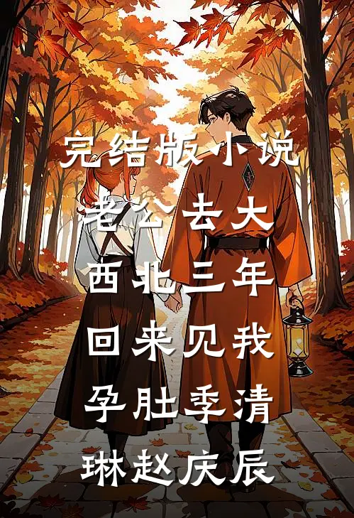 完结版小说老公去大西北三年，回来见我孕肚季清琳赵庆辰