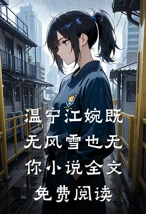 温宁江婉既无风雪也无你小说全文免费阅读