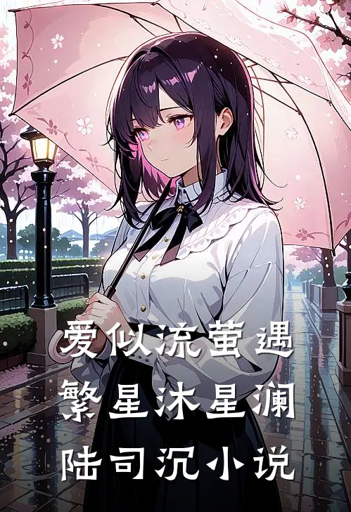 爱似流萤遇繁星沐星澜陆司沉小说