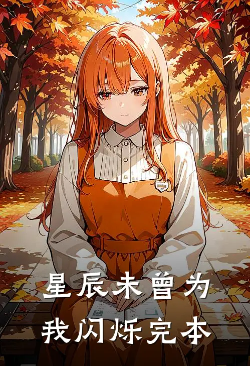星辰未曾为我闪烁完本