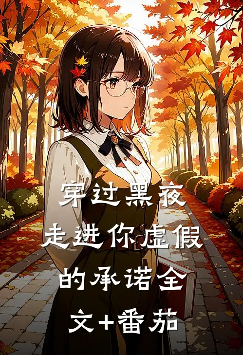 穿过黑夜，走进你虚假的承诺全文+番茄