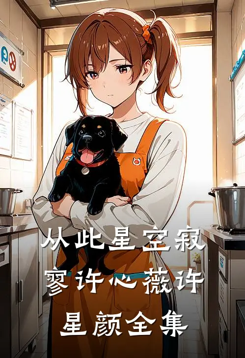从此星空寂寥许心薇许星颜全集
