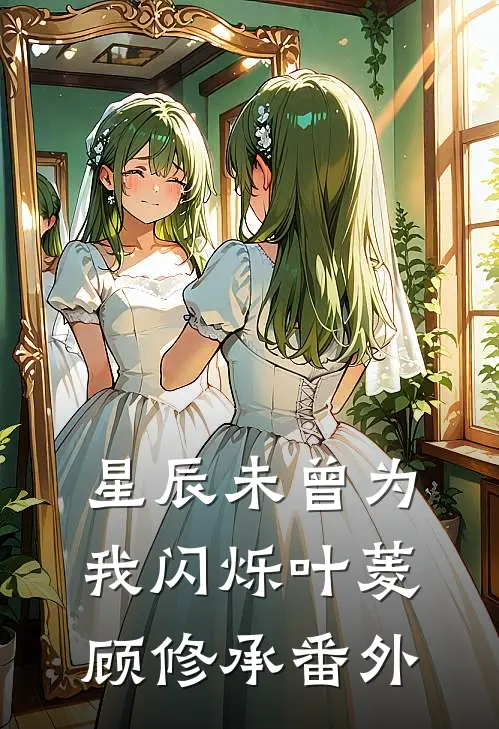 星辰未曾为我闪烁叶菱顾修承番外