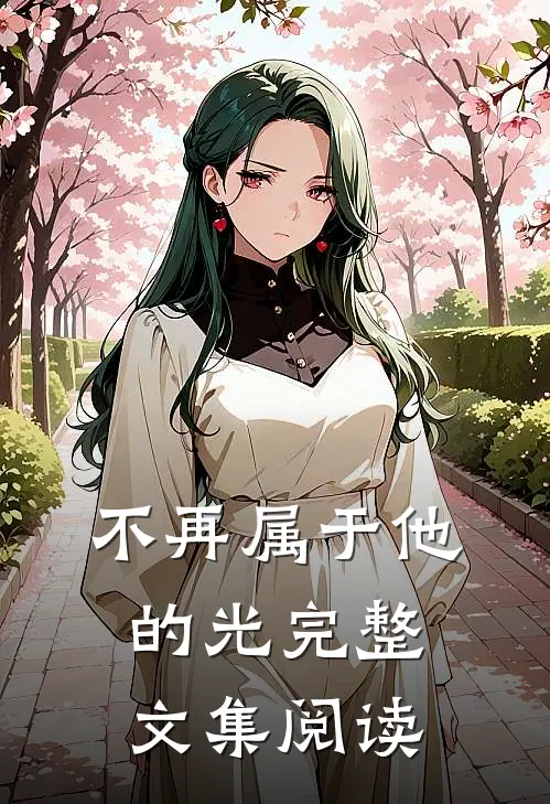 不再属于他的光完整文集阅读