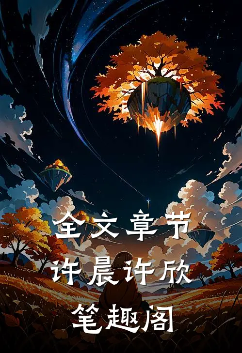 全文章节许晨许欣笔趣阁