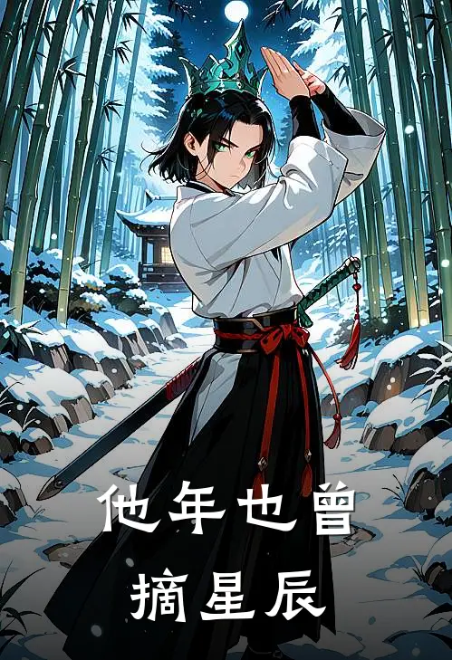 他年也曾摘星辰