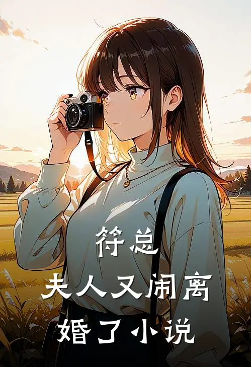 符总，夫人又闹离婚了小说