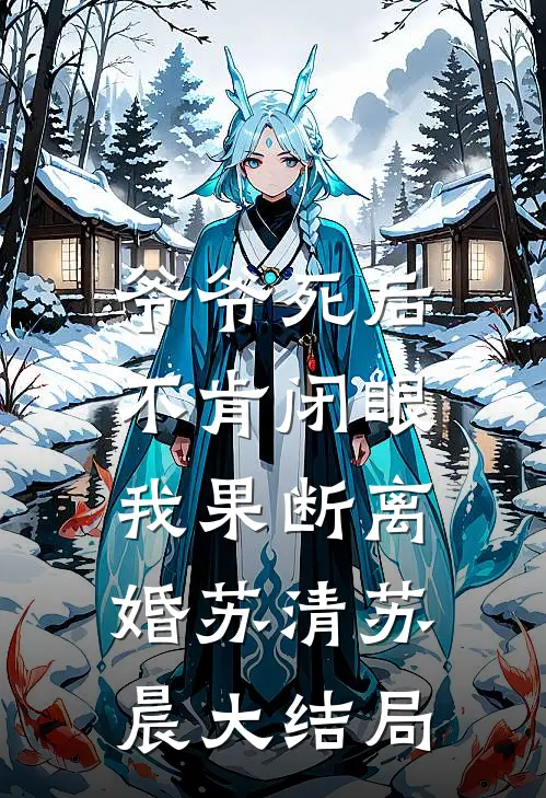 爷爷死后不肯闭眼，我果断离婚苏清苏晨大结局