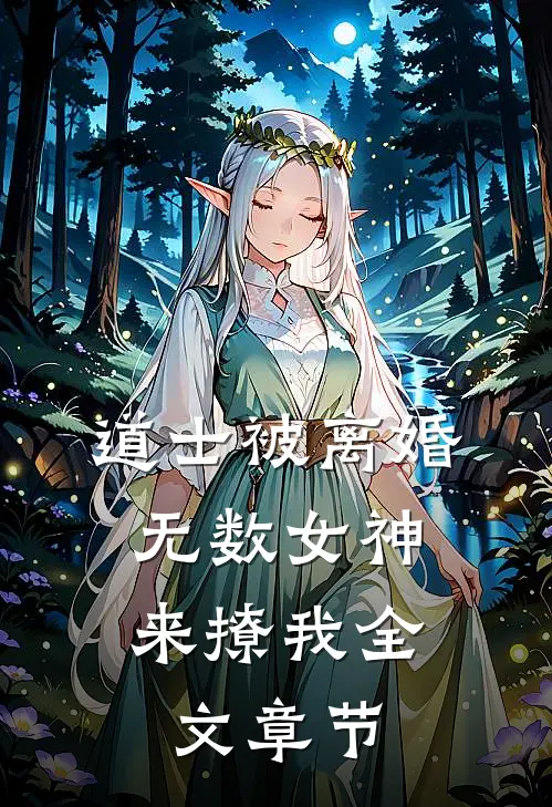 道士被离婚，无数女神来撩我全文章节