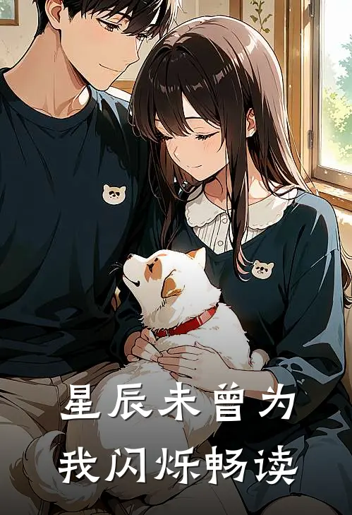 星辰未曾为我闪烁畅读