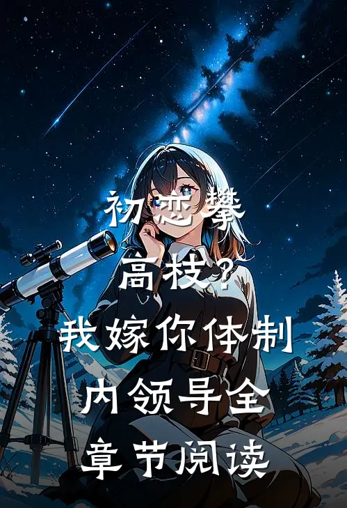 初恋攀高枝？我嫁你体制内领导全章节阅读