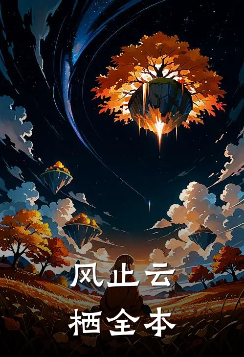风止云栖全本