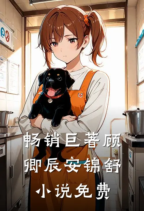畅销巨著顾卿辰安锦舒小说免费