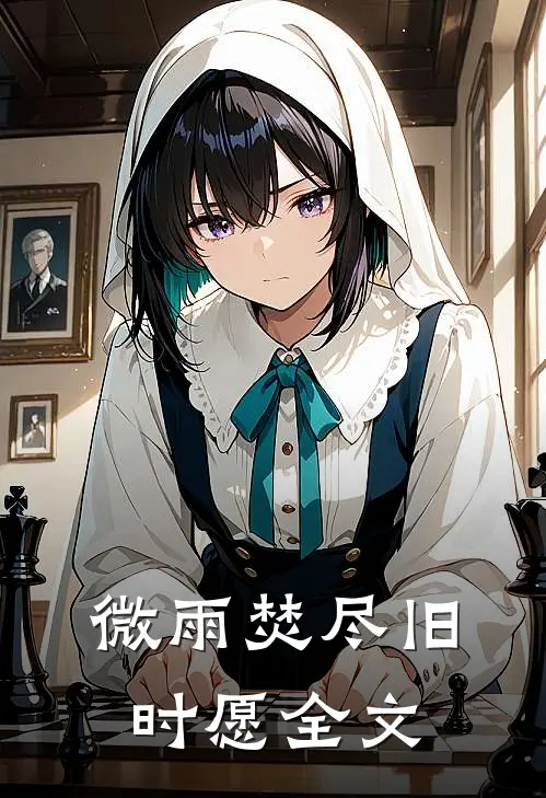 微雨焚尽旧时愿全文