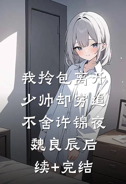 我拎包离开，少帅却穷追不舍许锦夜魏良辰后续+完结