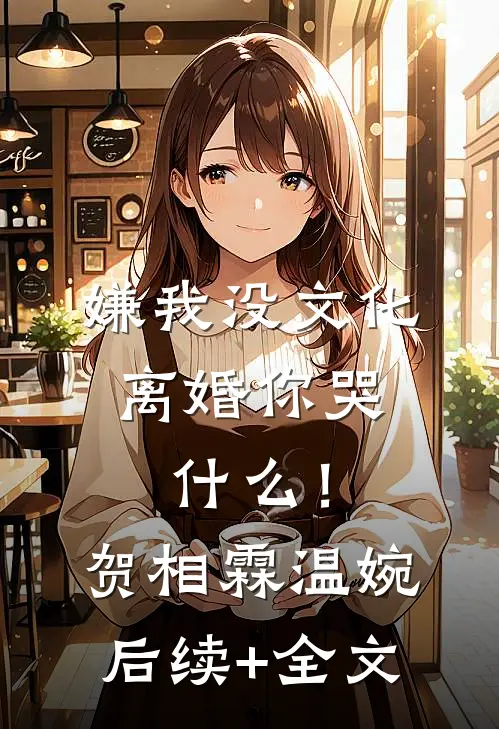 嫌我没文化，离婚你哭什么！贺相霖温婉后续+全文