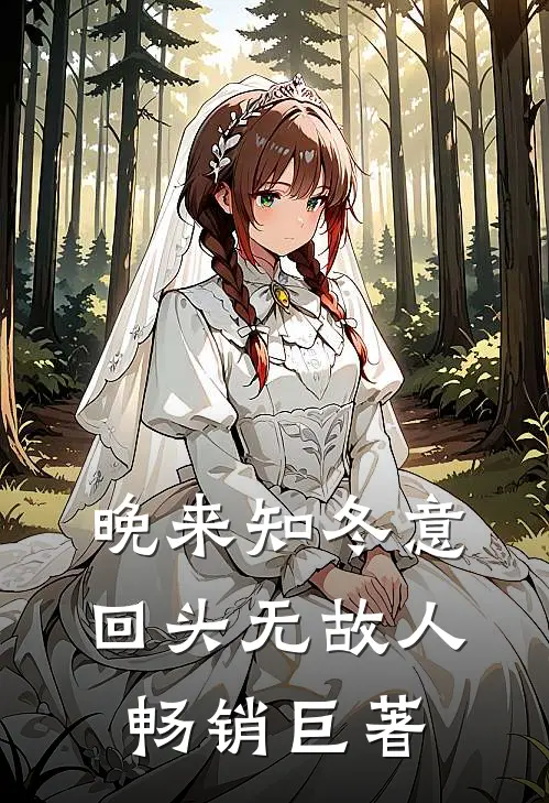 晚来知冬意，回头无故人畅销巨著