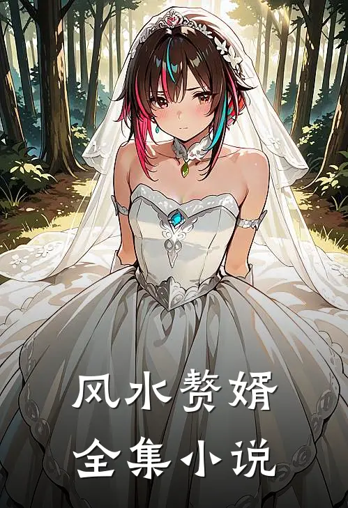 风水赘婿全集小说